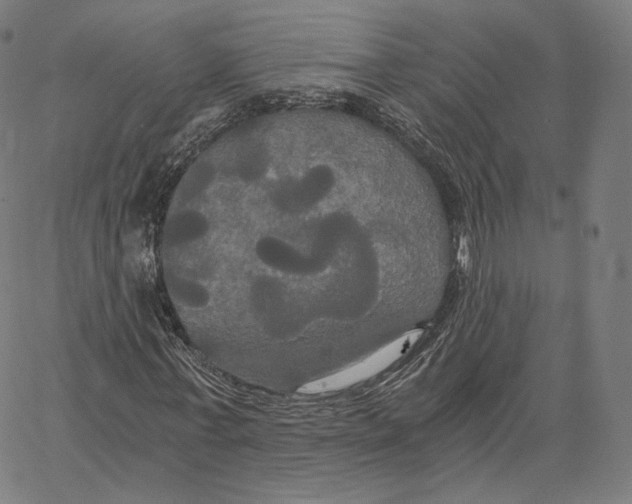 X0000062620771200601181654