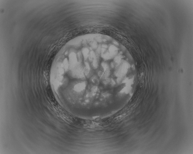 X0000062620772200601181653