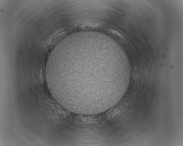 X0000062620774200601181653