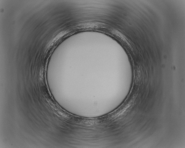 X0000062620778200601181653