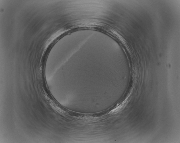 X0000062620779200601181653