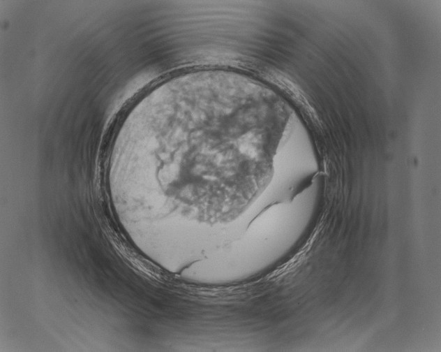 X0000062620780200601181653