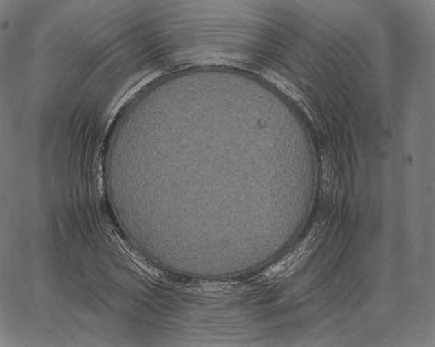 X0000062620782200601181653