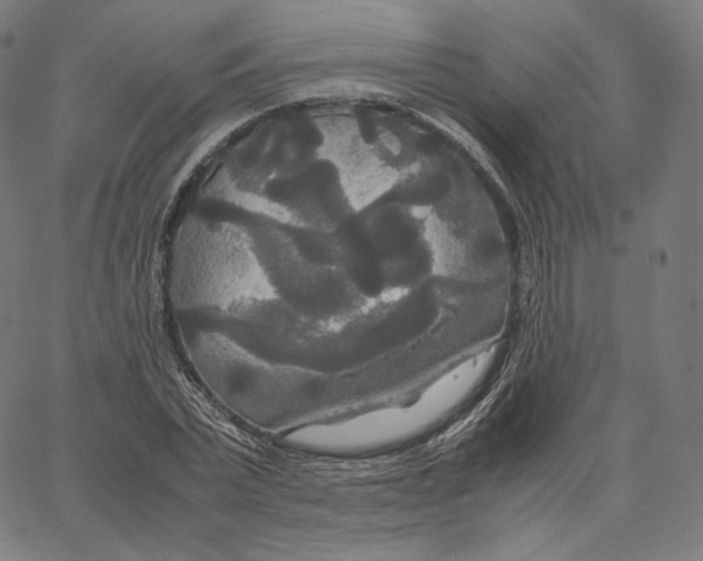 X0000062620783200601181653