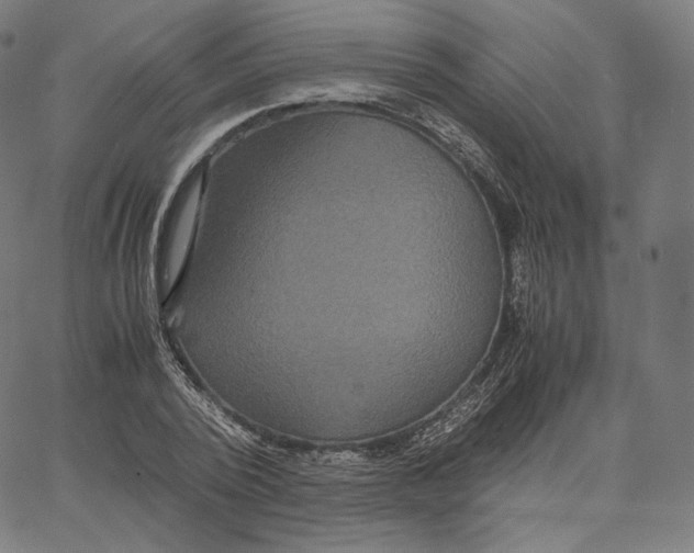 X0000062620784200601181653