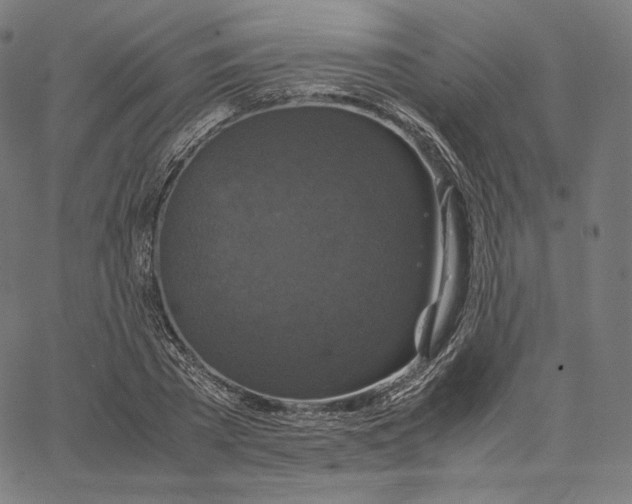 X0000062620785200601181653