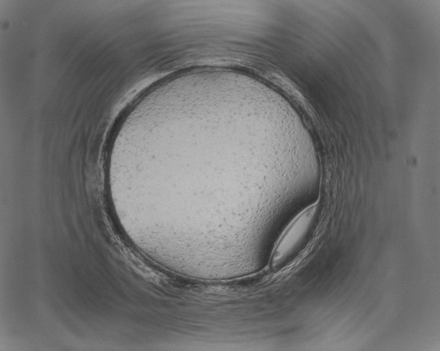 X0000062620787200601181653