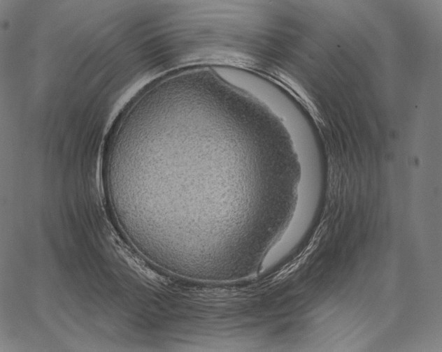 X0000062620788200601181653