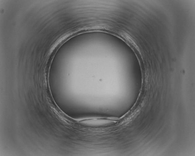 X0000062620789200601181653