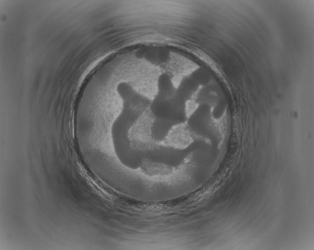 X0000062620791200601181653