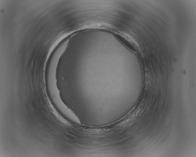 X0000062620792200601181653