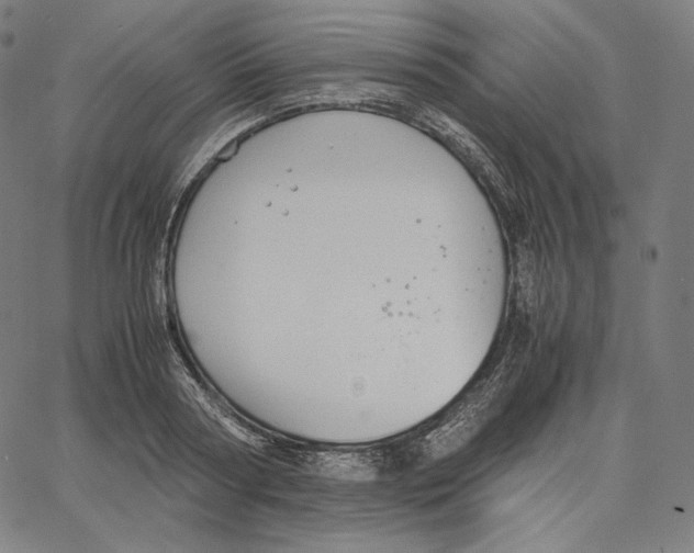 X0000062620794200601181653