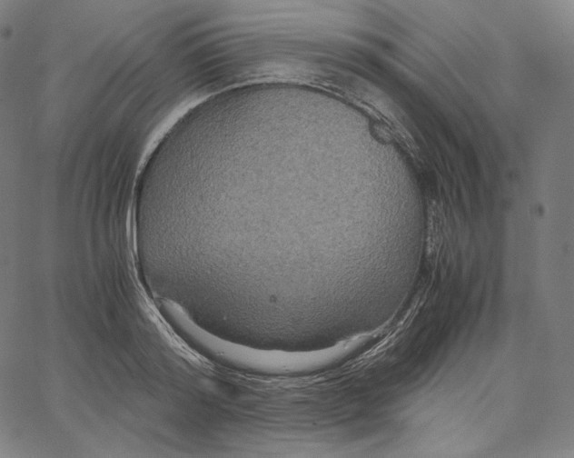 X0000062620796200601181653