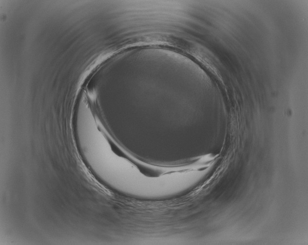 X0000062620797200601181653