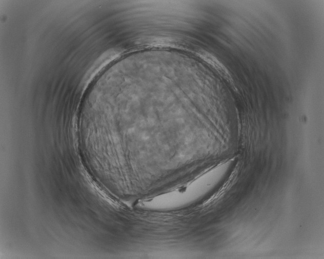 X0000062620798200601181653