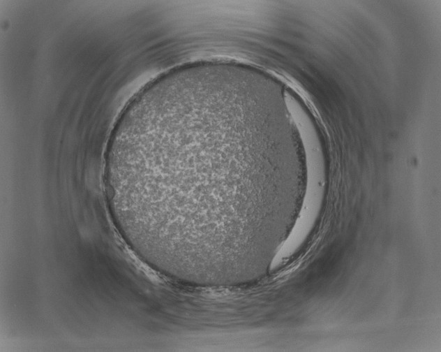 X0000062620799200601181653