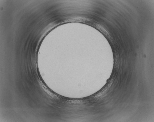 X0000062620800200601181653