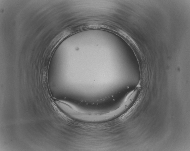 X0000062620801200601181653