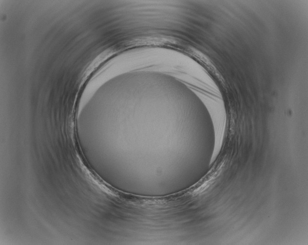 X0000062620802200601181653