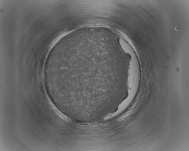 X0000062620803200601181653