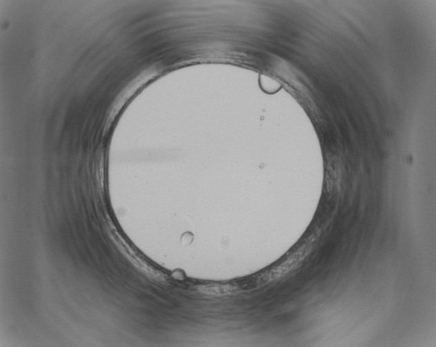 X0000062620804200601181653