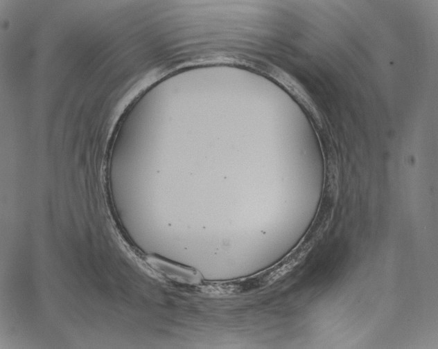 X0000062620805200601181653