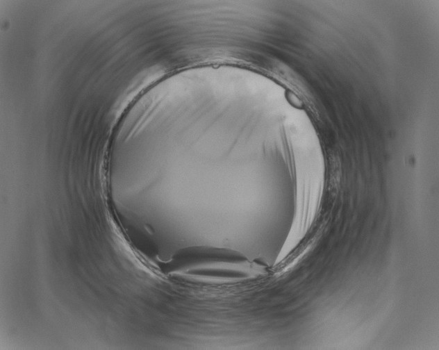 X0000062620806200601181653