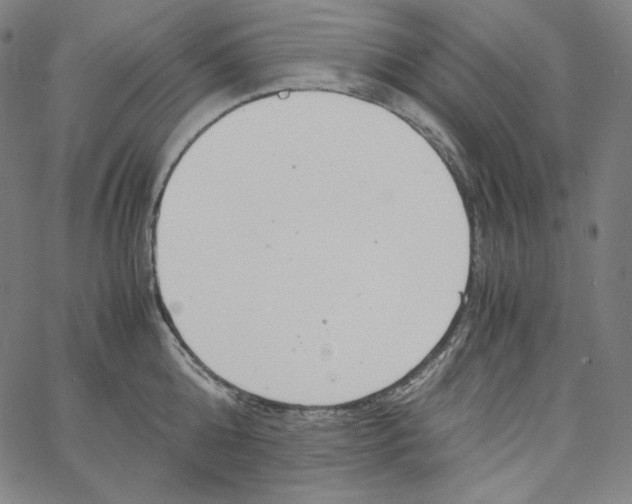 X0000062620808200601181653