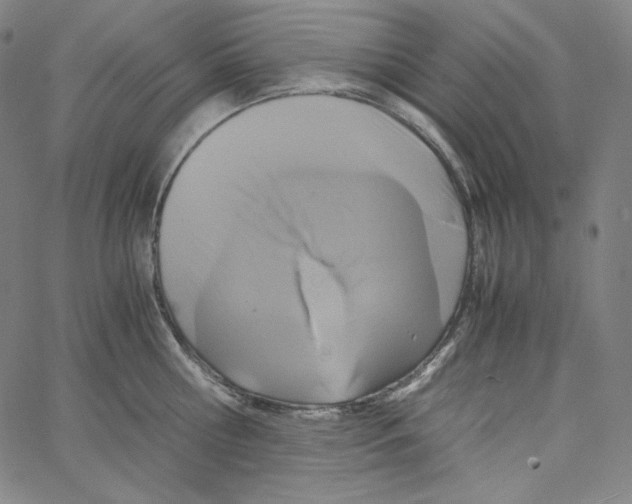 X0000062620810200601181653