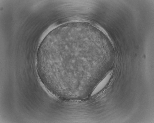 X0000062620811200601181653