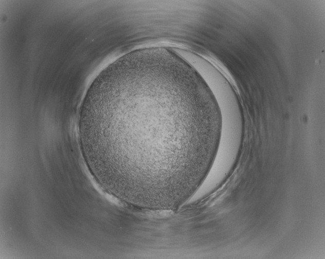 X0000062620813200601181653