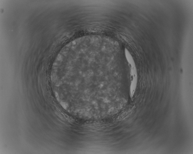 X0000062620817200601181652