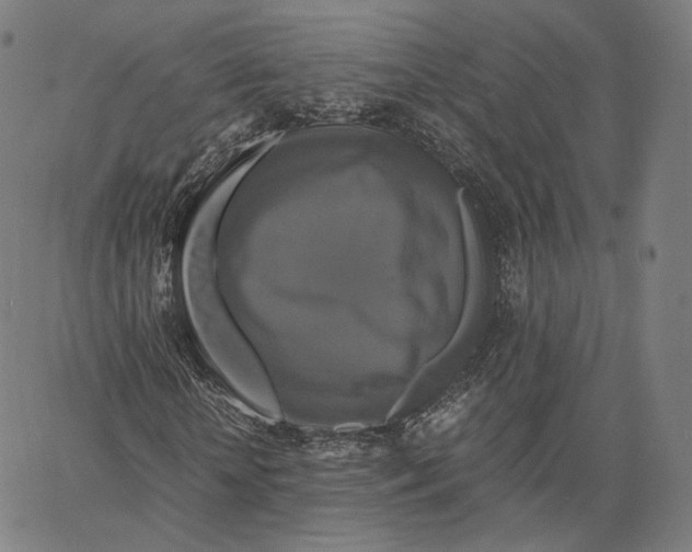 X0000062620818200601181652