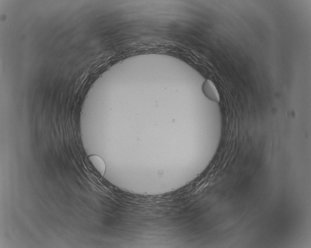 X0000062620820200601181652