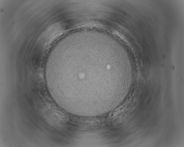 X0000062620824200601181652