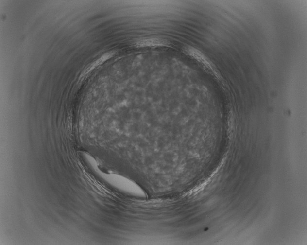 X0000062620825200601181652