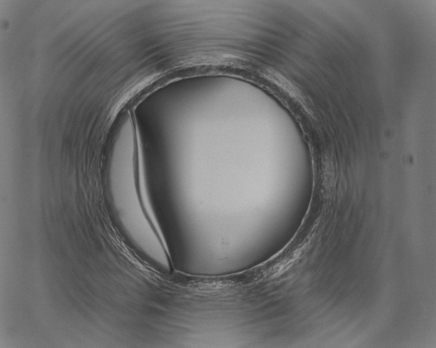 X0000062620826200601181652