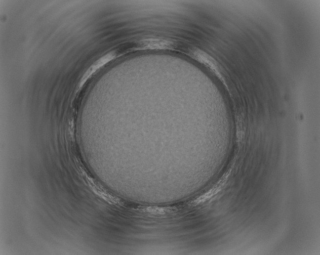 X0000062620827200601181652