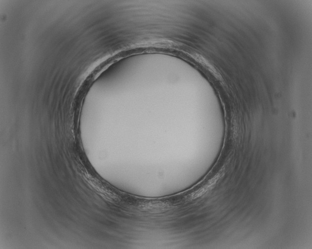 X0000062620830200601181652