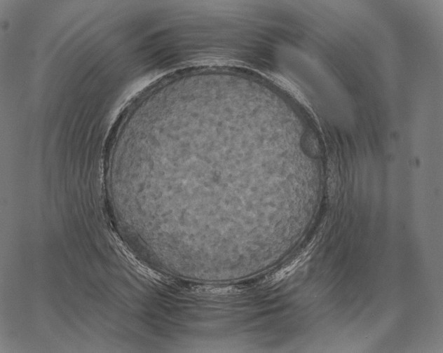 X0000062620831200601181652