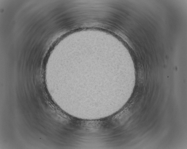 X0000062620832200601181652