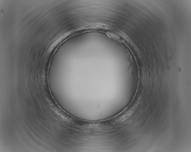 X0000062620834200601181652