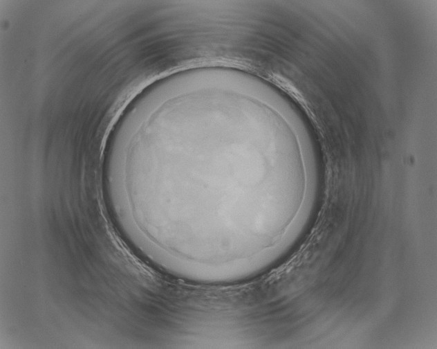 X0000062620836200601181652