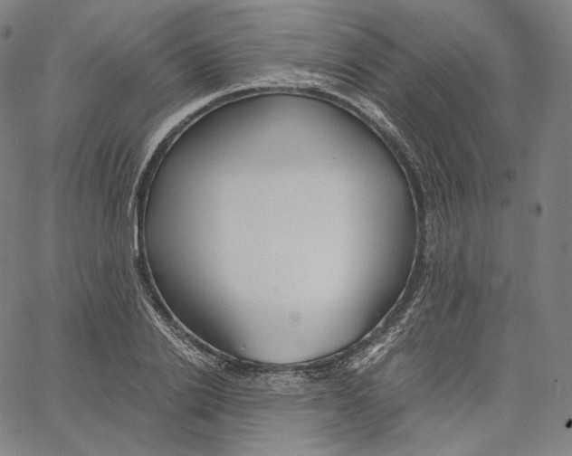 X0000062620838200601181652