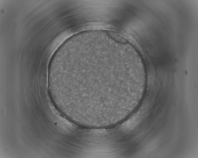 X0000062620844200601181652