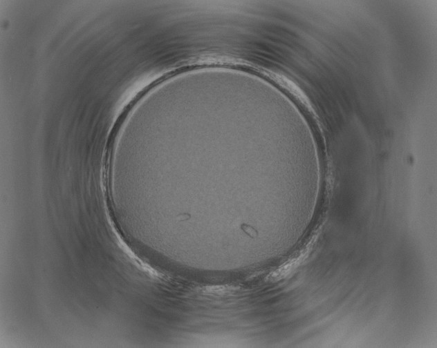 X0000062620847200601181652