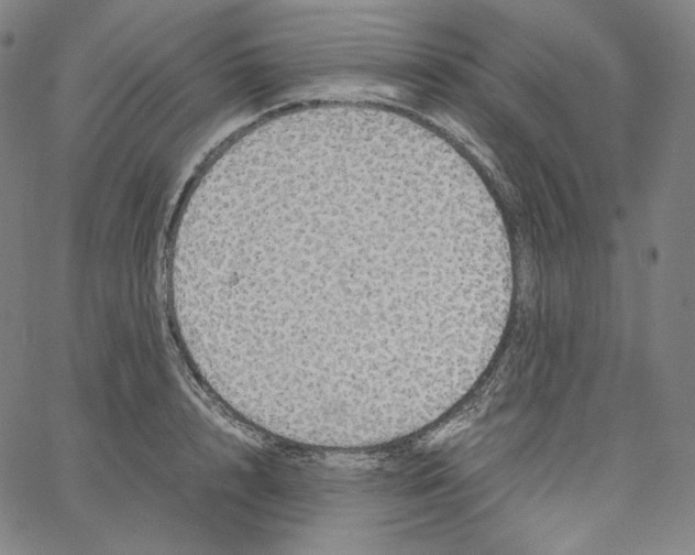 X0000062620848200601181653