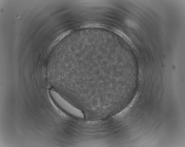 X0000062620849200601181653