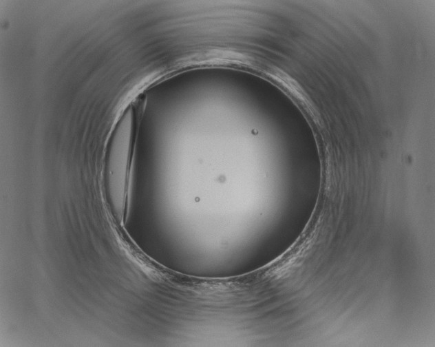 X0000062620850200601181653