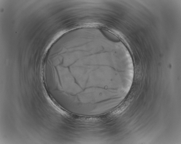 X0000062620851200601181653